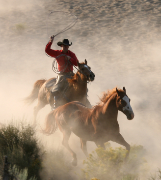 Cowboy